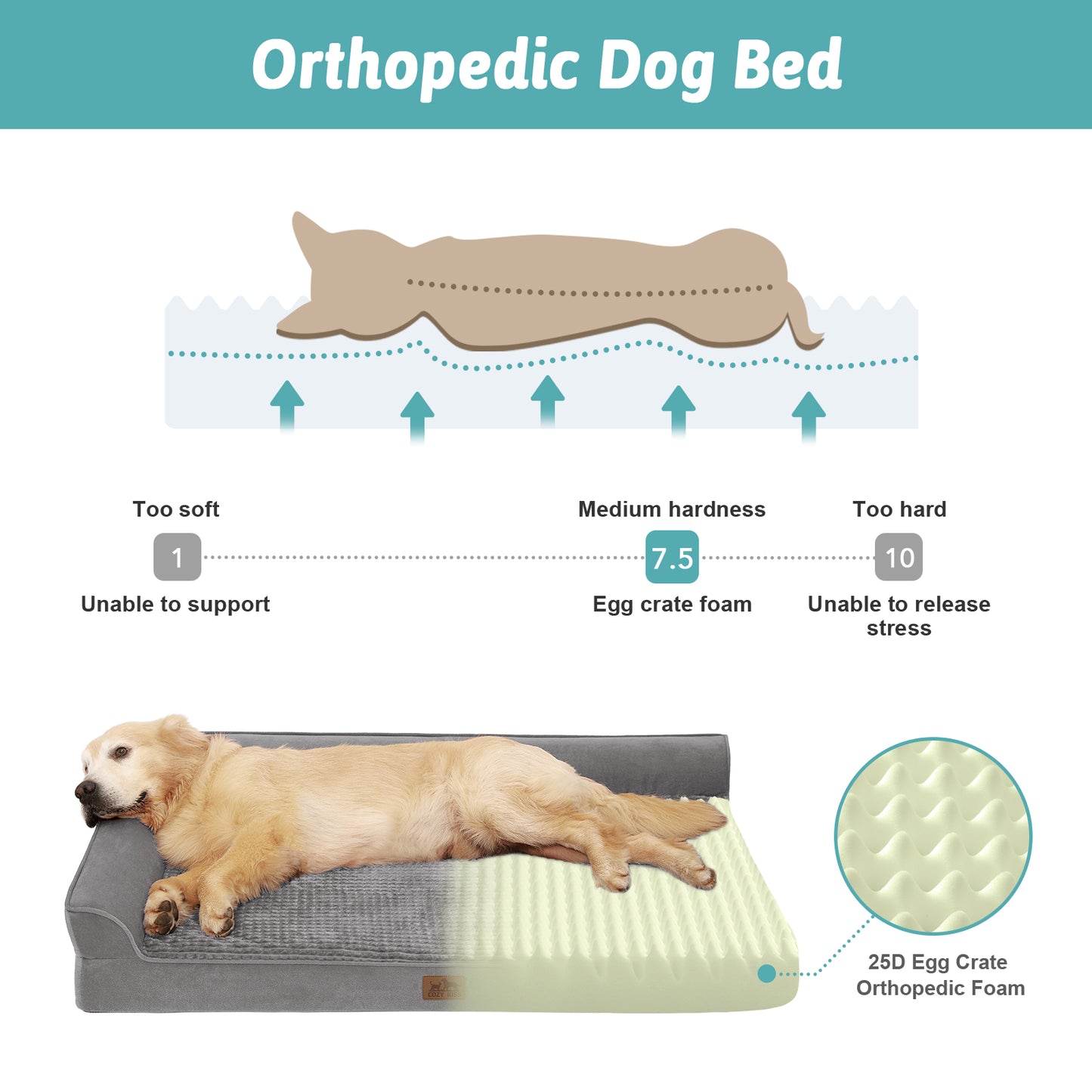 L-Shaped Orthopedic Dog Bed