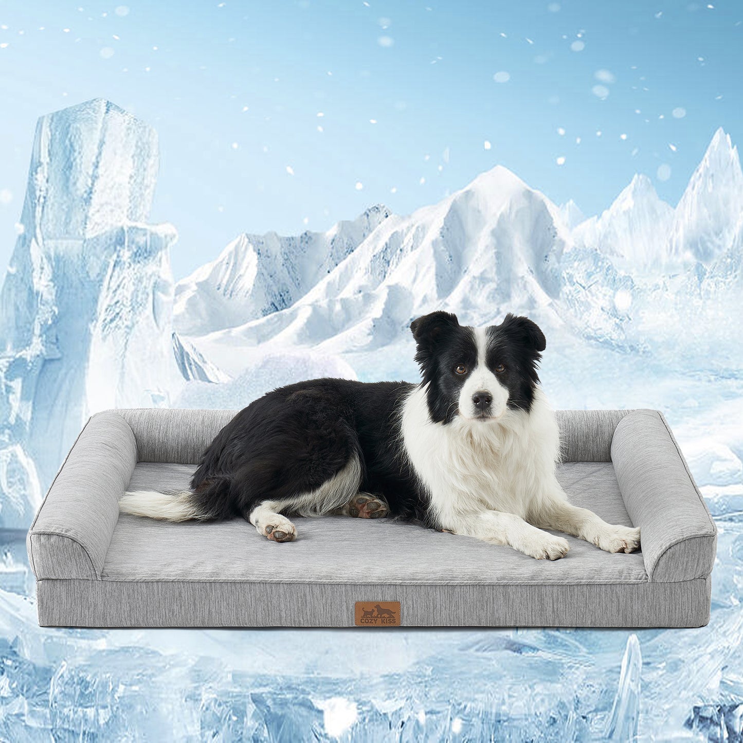 Cooling Dog Bed