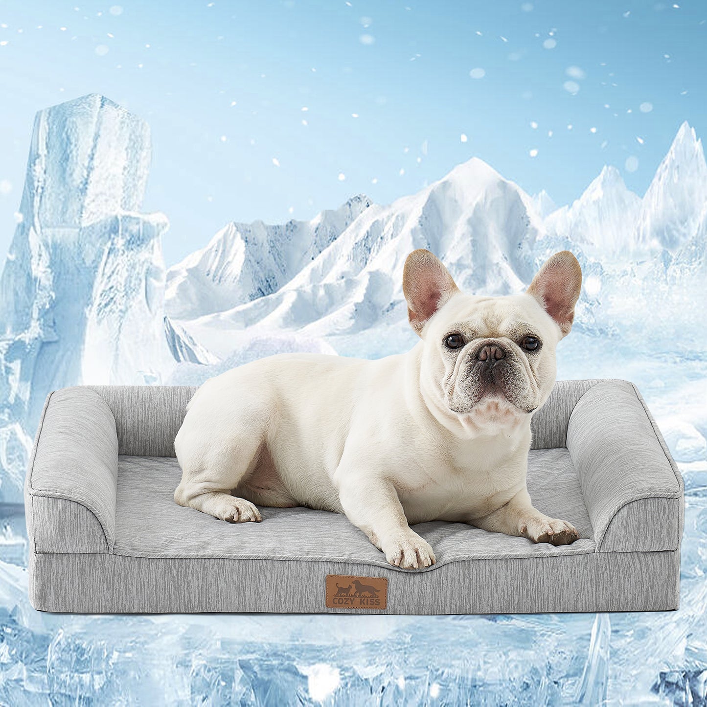 Cooling Dog Bed