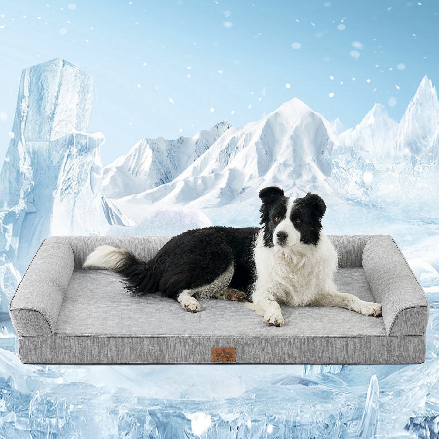 Cooling Dog Bed