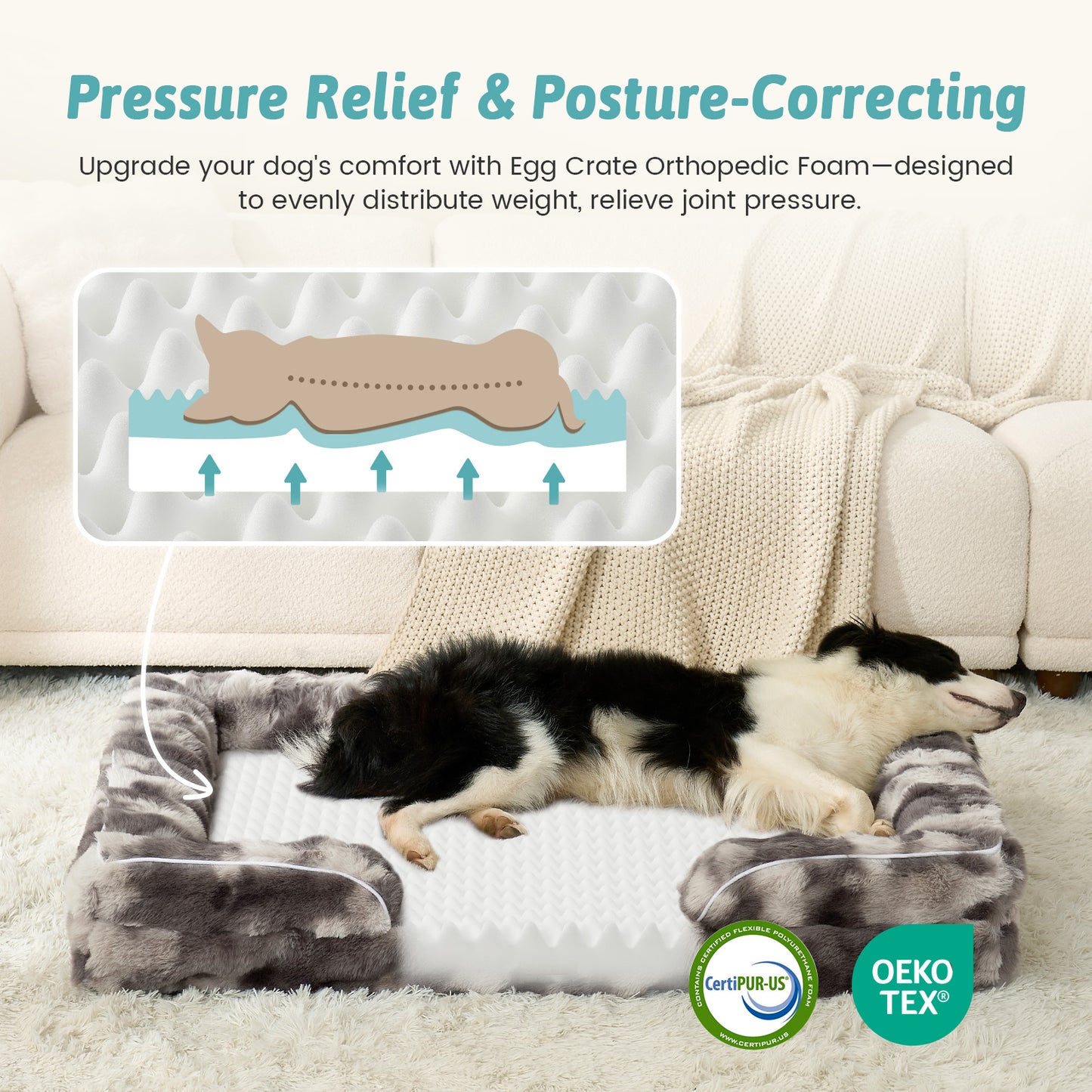 C-Shaped Orthopedic Dog Bed