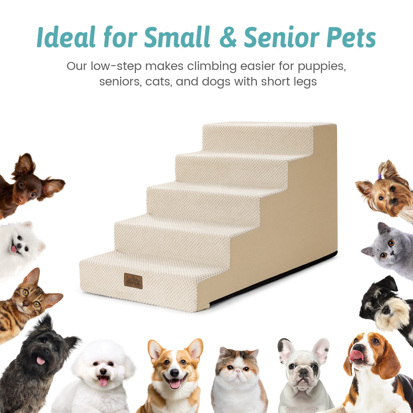 Slope Dog Stairs 5-Step