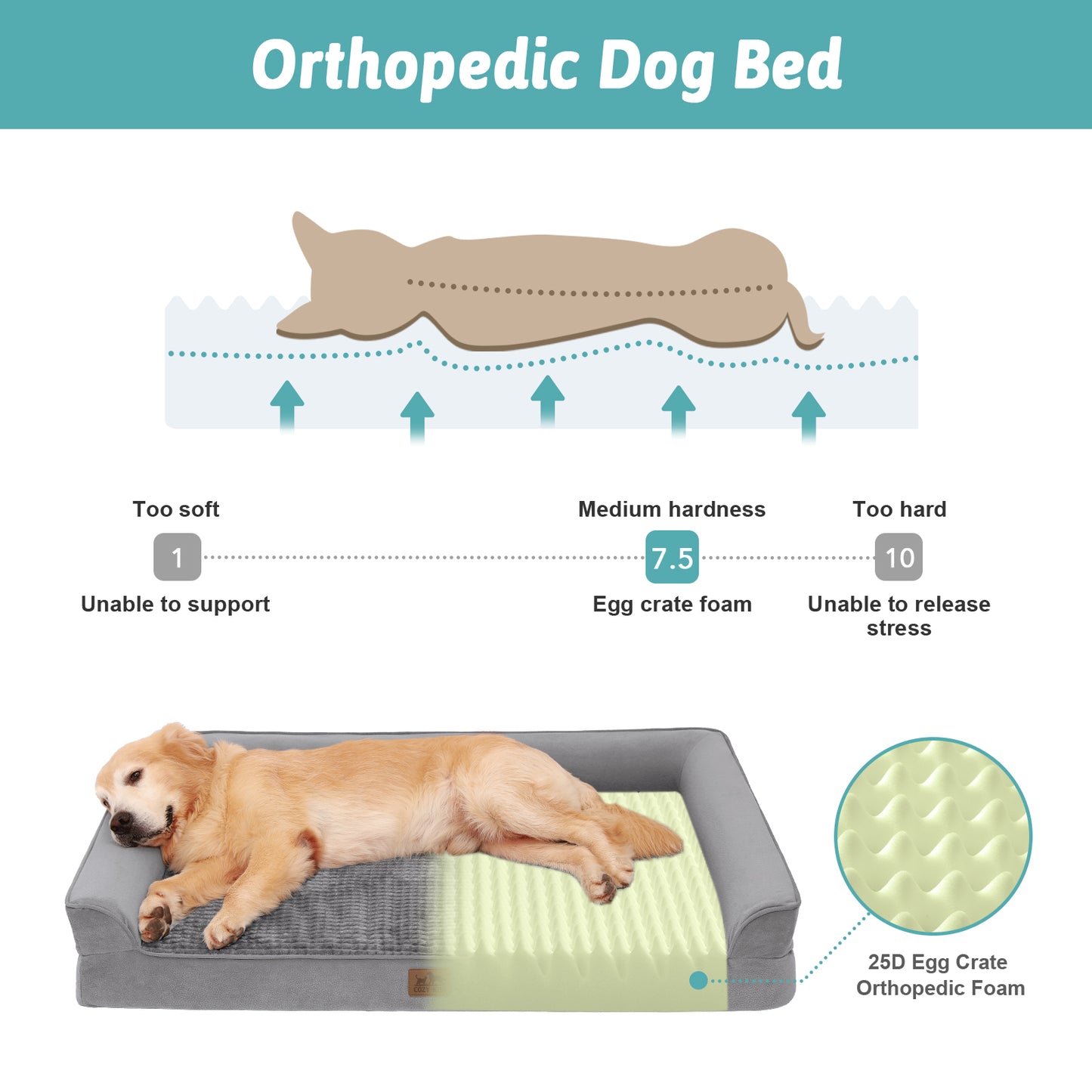 U-Shaped Orthopedic Dog Bed